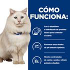 Hill's Prescription Diet c/d Urinary Stress Peixe Azul Ração para gatos, , large image number null